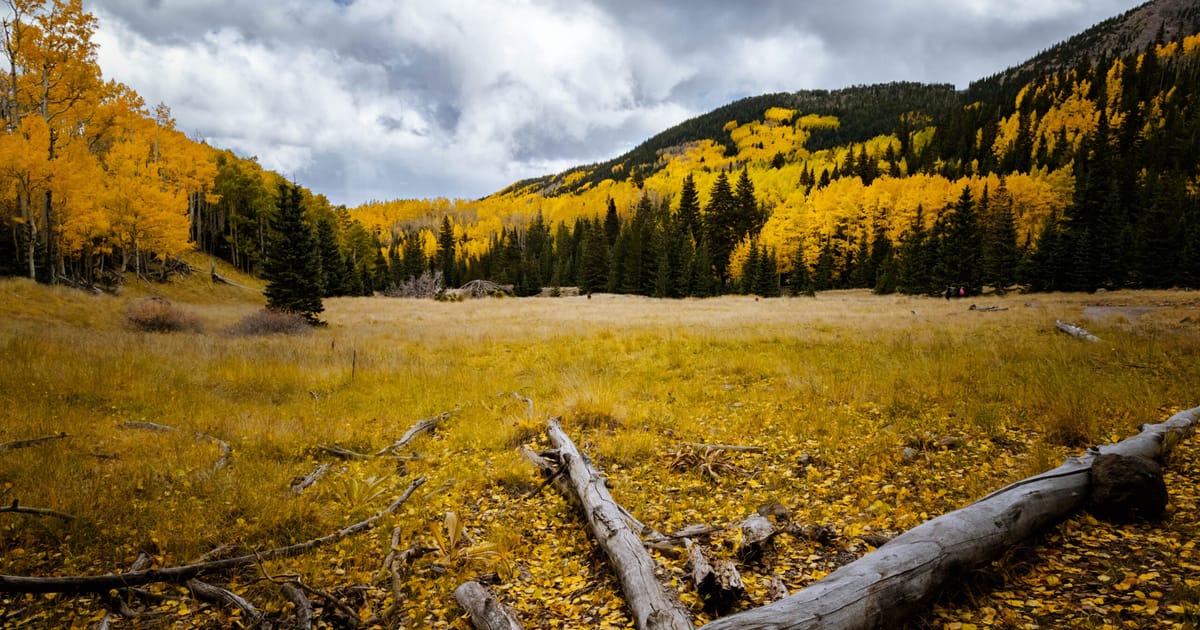 Where to See Fall Colors Around Flagstaff